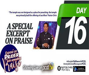 Day 16 : A Special Excerpt On Praise